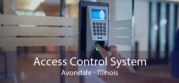 Access Control System Avondale - Illinois