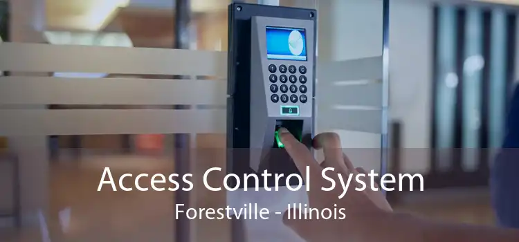 Access Control System Forestville - Illinois