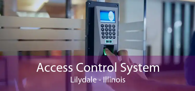 Access Control System Lilydale - Illinois