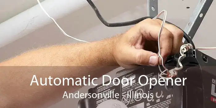 Automatic Door Opener Andersonville - Illinois