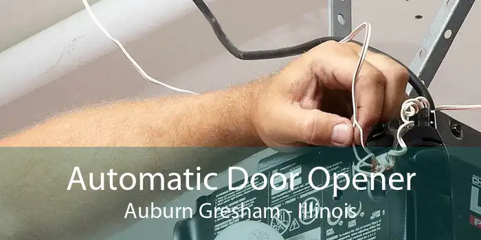 Automatic Door Opener Auburn Gresham - Illinois