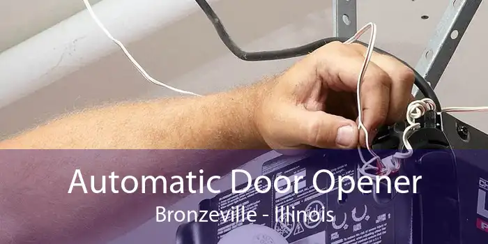 Automatic Door Opener Bronzeville - Illinois