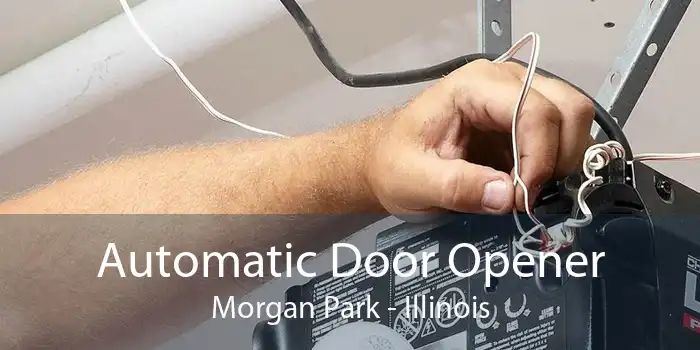 Automatic Door Opener Morgan Park - Illinois