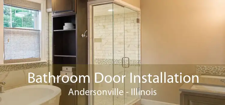 Bathroom Door Installation Andersonville - Illinois