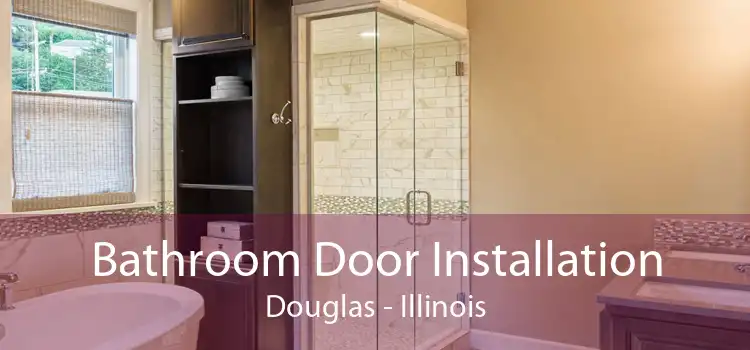 Bathroom Door Installation Douglas - Illinois