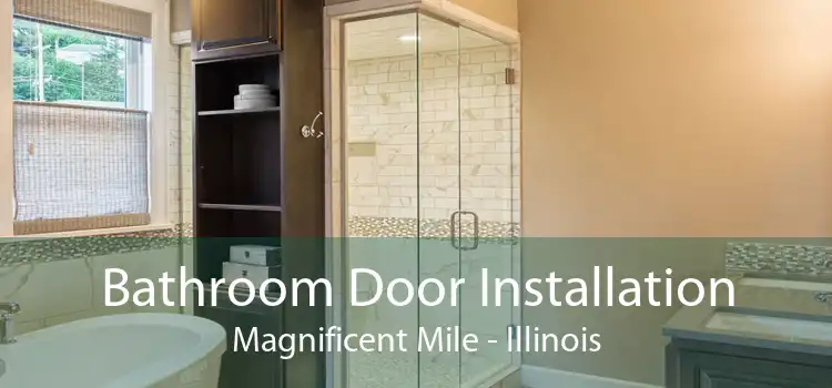 Bathroom Door Installation Magnificent Mile - Illinois