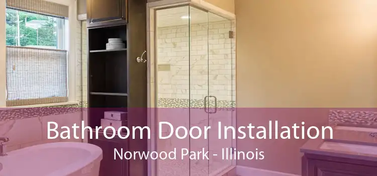 Bathroom Door Installation Norwood Park - Illinois