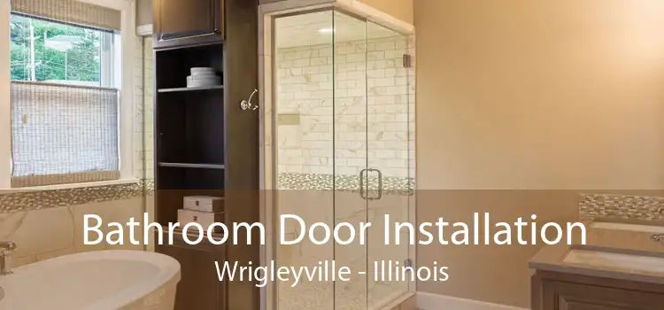 Bathroom Door Installation Wrigleyville - Illinois