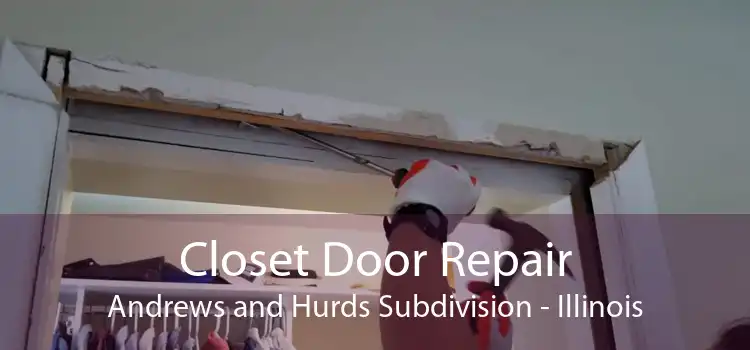 Closet Door Repair Andrews and Hurds Subdivision - Illinois