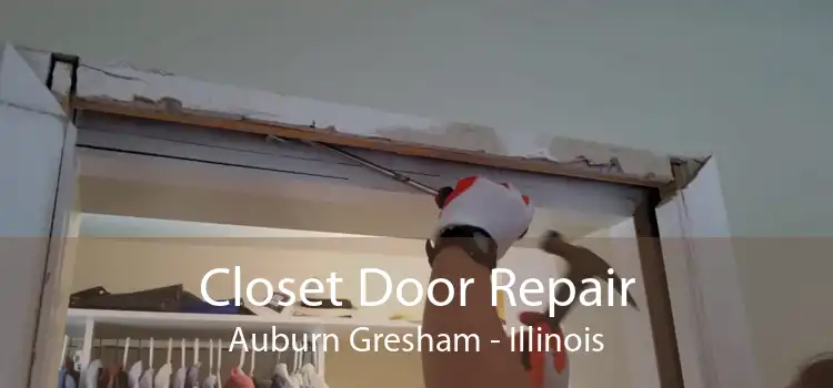 Closet Door Repair Auburn Gresham - Illinois