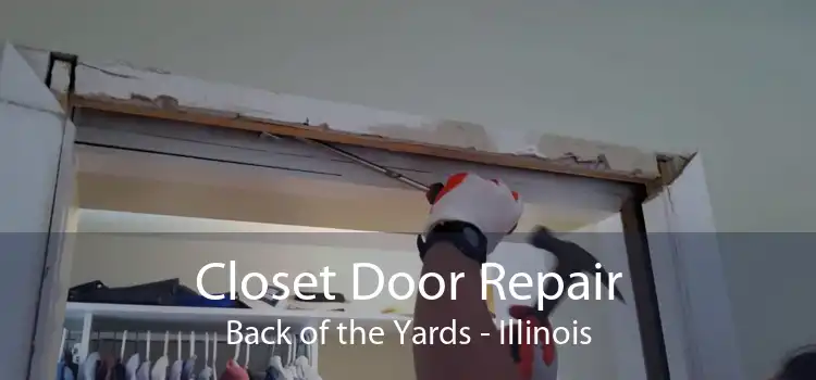 Closet Door Repair Back of the Yards - Illinois