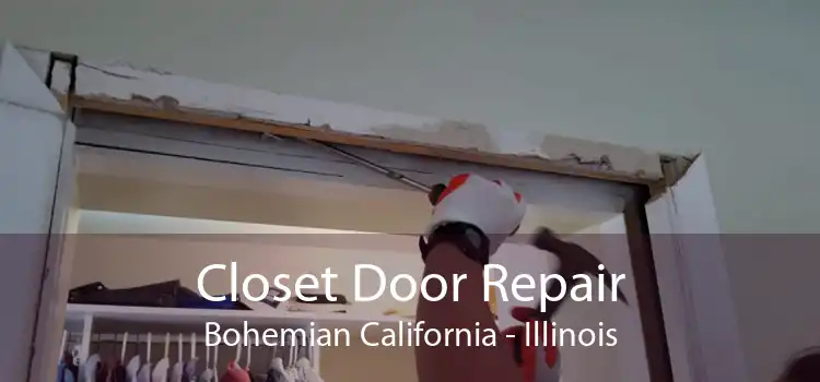 Closet Door Repair Bohemian California - Illinois