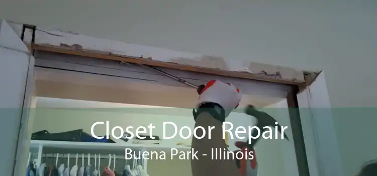 Closet Door Repair Buena Park - Illinois