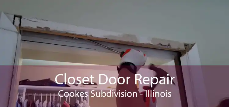 Closet Door Repair Cookes Subdivision - Illinois