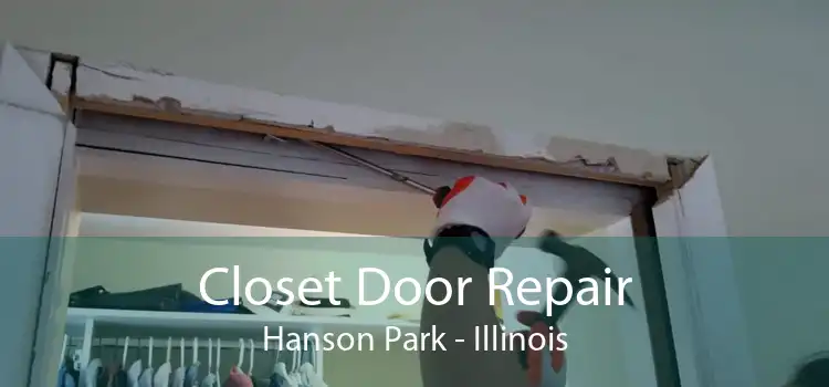 Closet Door Repair Hanson Park - Illinois