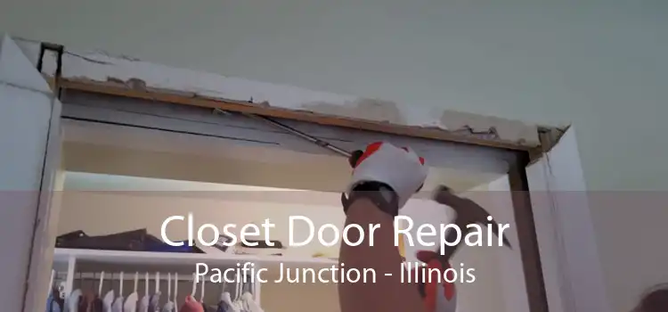 Closet Door Repair Pacific Junction - Illinois