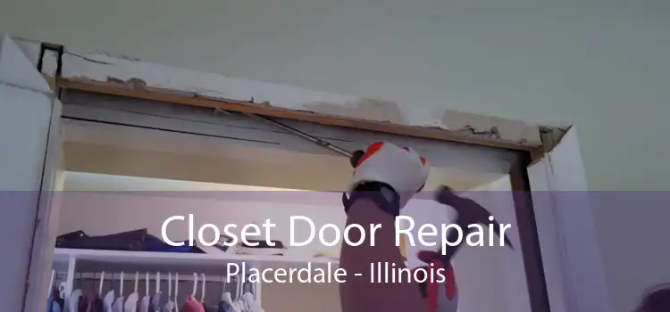 Closet Door Repair Placerdale - Illinois