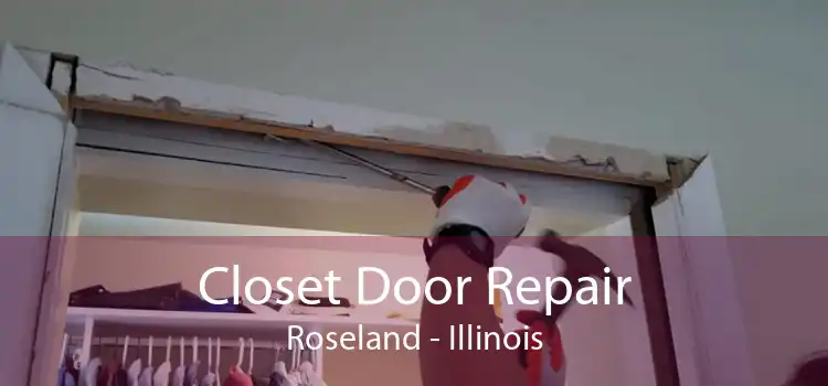 Closet Door Repair Roseland - Illinois