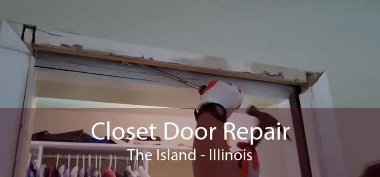 Closet Door Repair The Island - Illinois