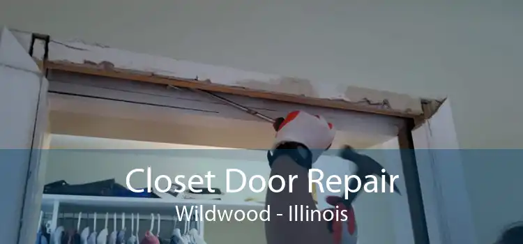 Closet Door Repair Wildwood - Illinois