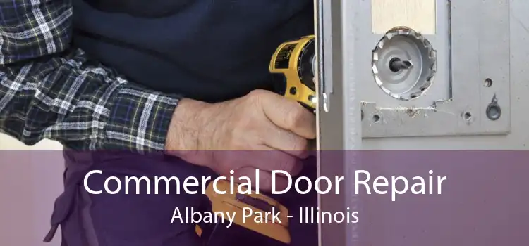 Commercial Door Repair Albany Park - Illinois