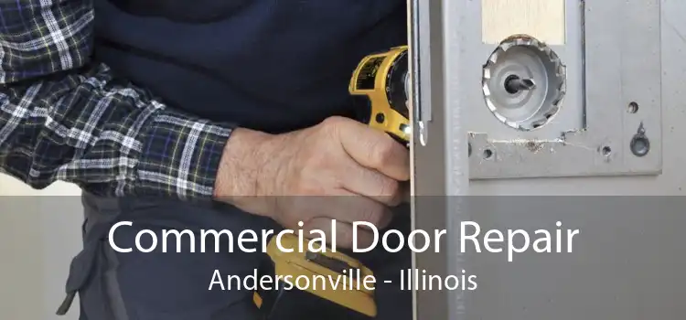 Commercial Door Repair Andersonville - Illinois