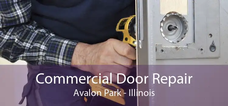 Commercial Door Repair Avalon Park - Illinois