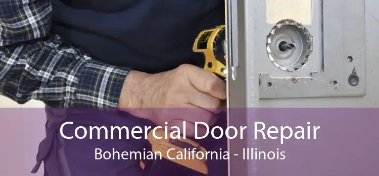 Commercial Door Repair Bohemian California - Illinois