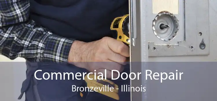 Commercial Door Repair Bronzeville - Illinois