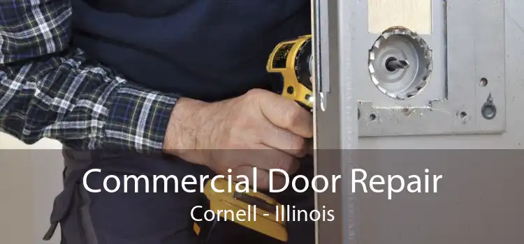 Commercial Door Repair Cornell - Illinois