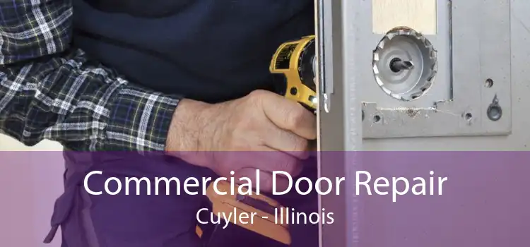 Commercial Door Repair Cuyler - Illinois