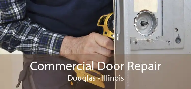 Commercial Door Repair Douglas - Illinois