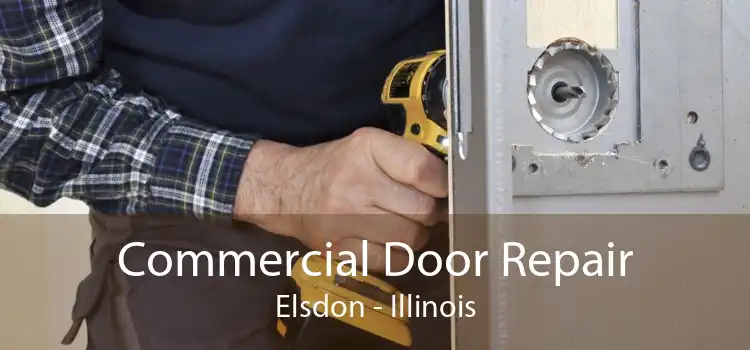 Commercial Door Repair Elsdon - Illinois