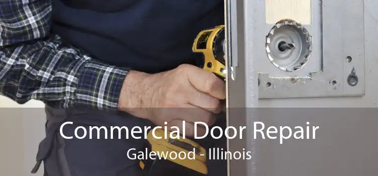 Commercial Door Repair Galewood - Illinois