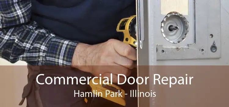 Commercial Door Repair Hamlin Park - Illinois