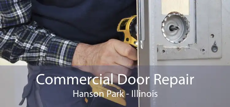 Commercial Door Repair Hanson Park - Illinois