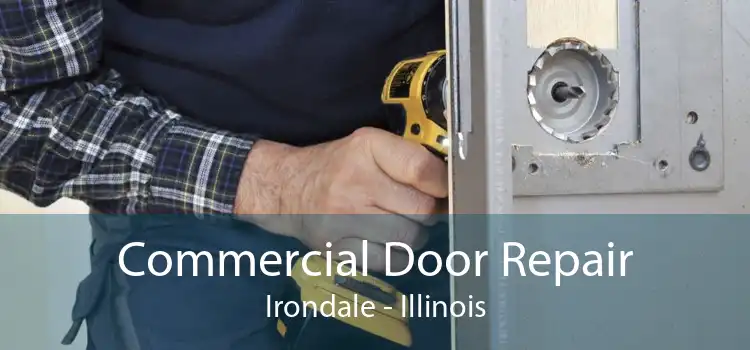 Commercial Door Repair Irondale - Illinois