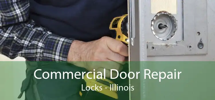 Commercial Door Repair Locks - Illinois