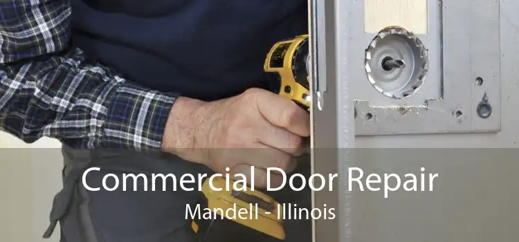 Commercial Door Repair Mandell - Illinois