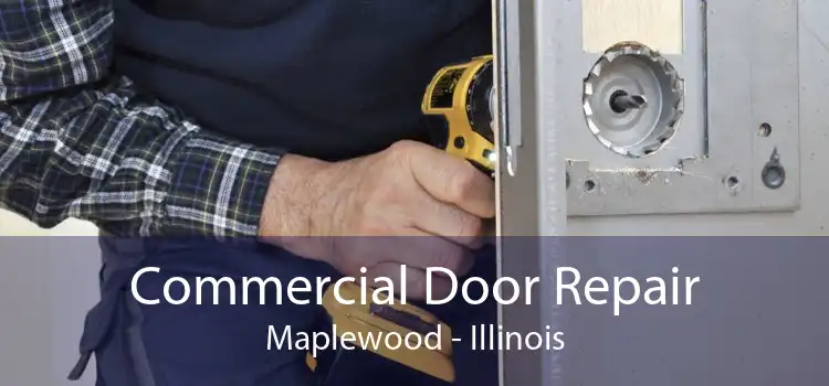 Commercial Door Repair Maplewood - Illinois