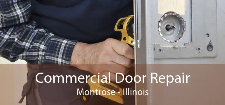 Commercial Door Repair Montrose - Illinois