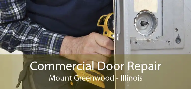 Commercial Door Repair Mount Greenwood - Illinois