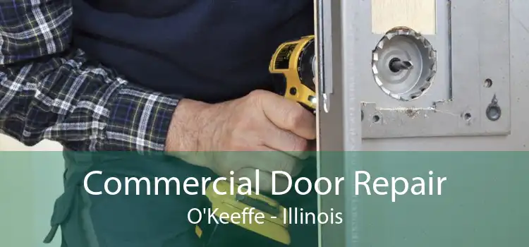 Commercial Door Repair O'Keeffe - Illinois