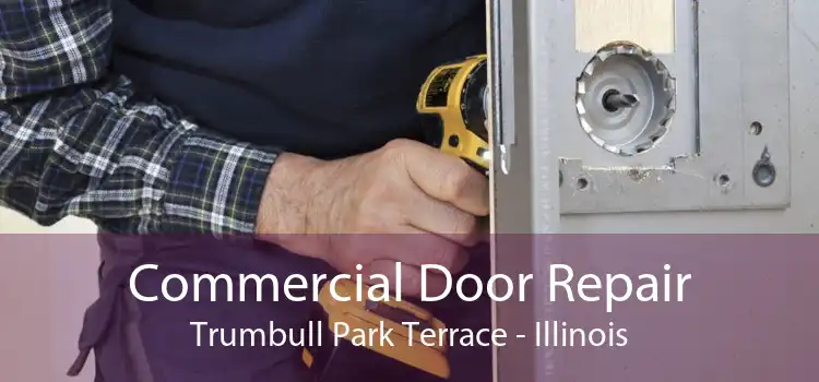 Commercial Door Repair Trumbull Park Terrace - Illinois