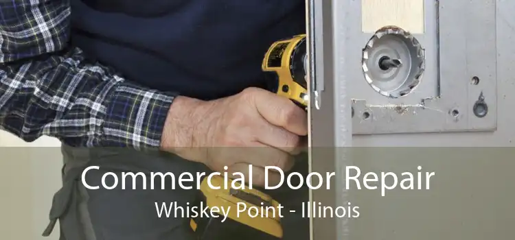 Commercial Door Repair Whiskey Point - Illinois