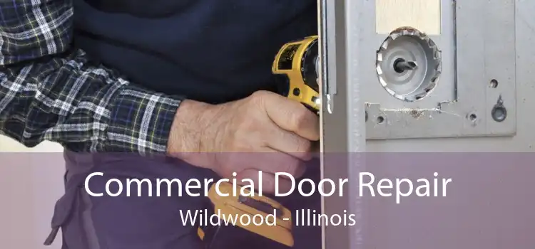 Commercial Door Repair Wildwood - Illinois