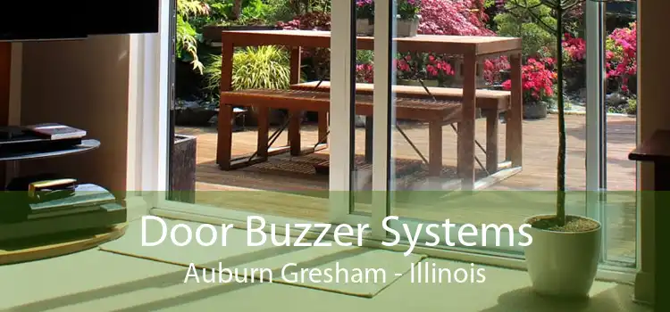 Door Buzzer Systems Auburn Gresham - Illinois