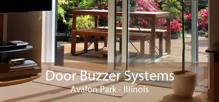 Door Buzzer Systems Avalon Park - Illinois