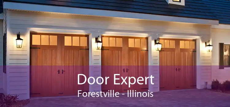 Door Expert Forestville - Illinois