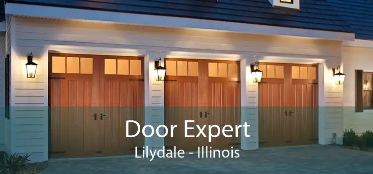 Door Expert Lilydale - Illinois